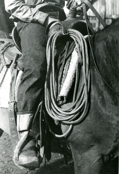 Lariat on Saddle, Quarter Circle U Ranch, Big Horn County, MT