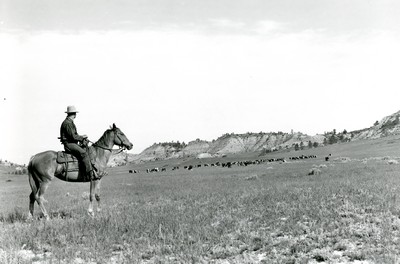 Quarter Circle U Roundup, Big Horn County, MT