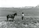 Quarter Circle U Roundup, Custer County, MT