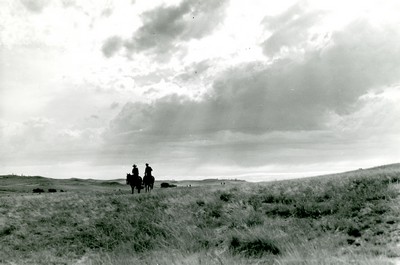 Cowhands at Roundup, Quarter Circle U Ranch, Big Horn County, MT