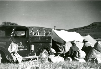 Setting Up the Roundup Camp, Quarter Circle U Ranch, Montana