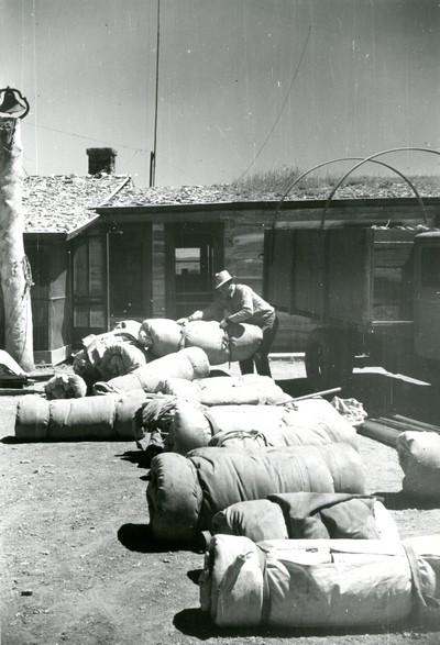 Bedrolls Used in the Roundup, Quarter Circle U Ranch, Big Horn County, MT