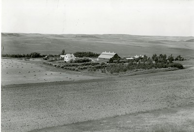 A Farmstead Surrounded by Fields, Wibaux County, MT