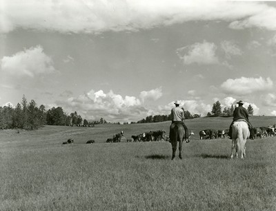 Three Circle Roundup, Custer National Forest, MT