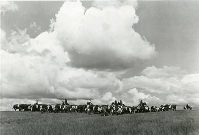Three Circle Roundup, Custer National Forest, MT