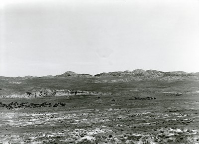 Roundup, Wm. Tonn Ranch, Custer County, MT