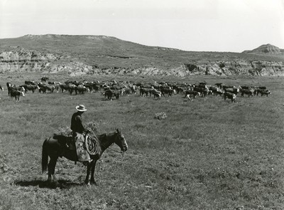 Roundup, Wm. Tonn Ranch, Custer County, MT