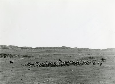 Roundup, Wm. Tonn Ranch, Custer County, MT