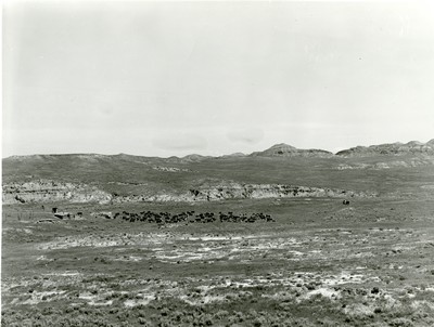 Roundup, Wm. Tonn Ranch, Custer County, MT