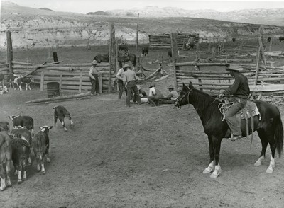 Branding, Wm. Tonn Ranch, Custer County, MT