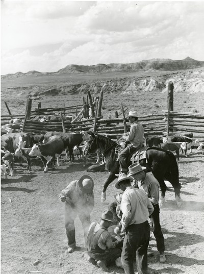 Branding, Wm. Tonn Ranch, Custer County, MT