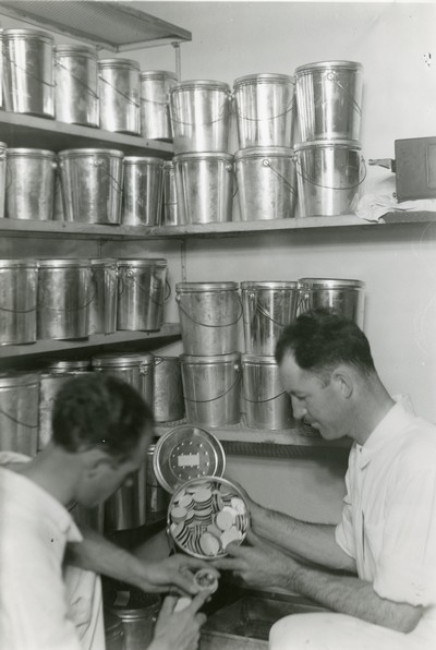 Two Men Look at Spotted Fever Infested Ticks That are Being Refrigerated for Pending Use.