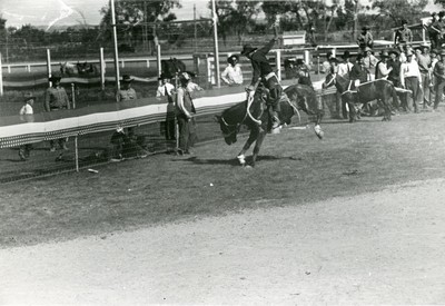 Rodeo, Miles City, Montana