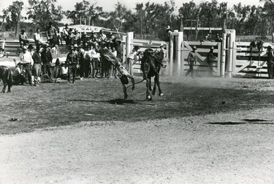 Bronco Rider, Miles City, Rodeo, Montana
