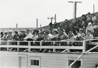 Audience at Rodeo, Miles City, Montana