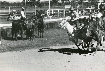 Bulldogging, Rodeo, Miles City, Montana
