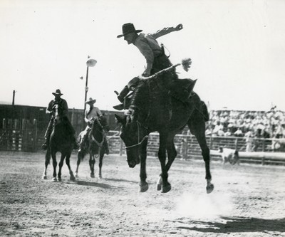 Bronc-busting, Montana
