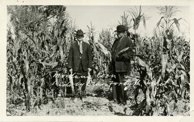 Montana Corn, Rosebud County, MT
