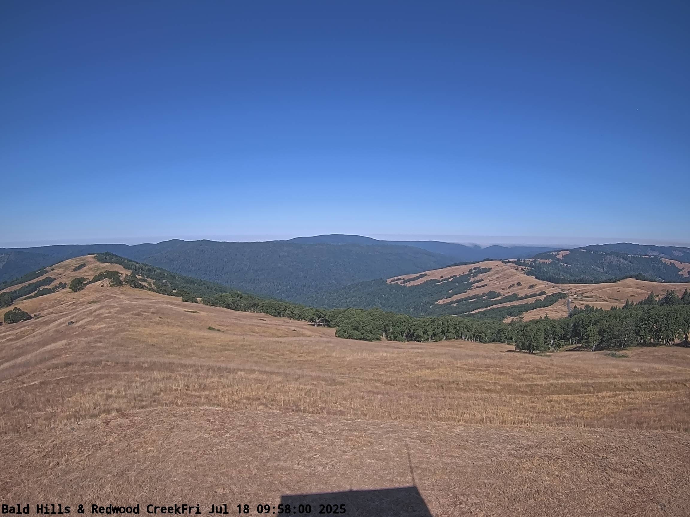 Redwood National and State Parks Schoolhouse Peak View