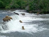 Katmai National Park and Preserve Brooks Falls