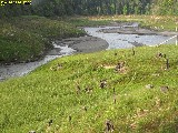 0ffline Archive Olympic National Park Lower Lake Aldwell