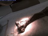 0ffline Archive John Day Fossil Beds National Monument Paleontology Lab