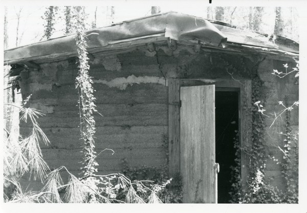 Cabin (near Jeannette Rankin's house)