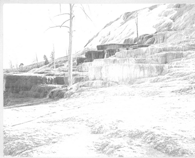 Jupiter Terrace, Mammoth Hot Springs