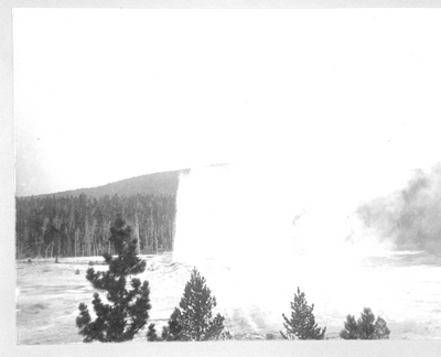Castle Geyser from the Tree Top