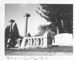 Story Family Plot