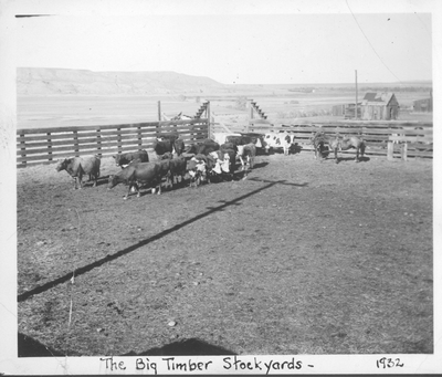 Big Timber Stockyards