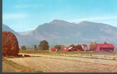 Bitter Root Valley & Mountains