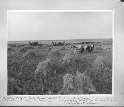 Cutting Oats on Mill Farm