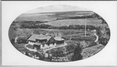 Fish Hatchery