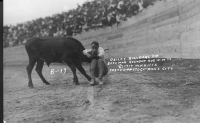 Bozeman Rodeo Bulldoggers