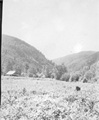 Bozeman pass