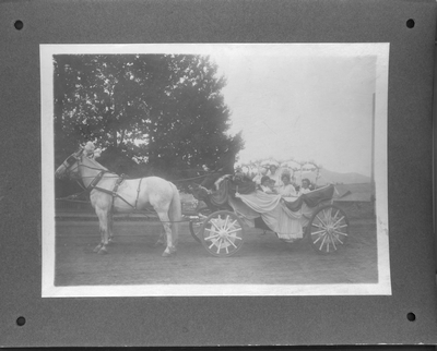 Bozeman Sweet Pea Carnival