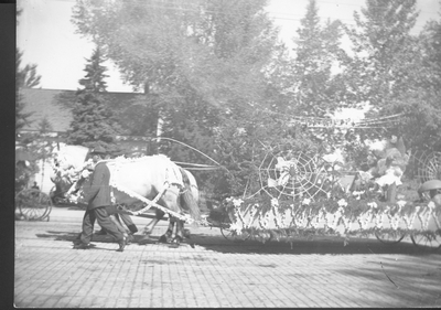 Bozeman Sweet Pea Carnival