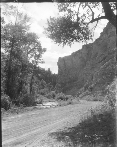 Bridger Canyon