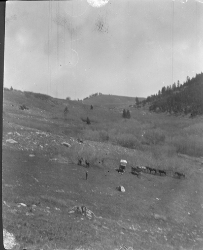 Bridger Canyon