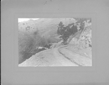 Bridger Canyon