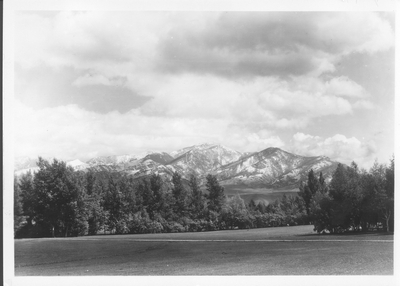 Bridger Mountains background to tree-lined field