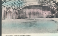 The Plunge, Chico Hot Springs, Montana