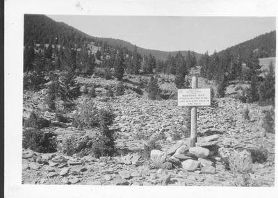 Montana Bar
