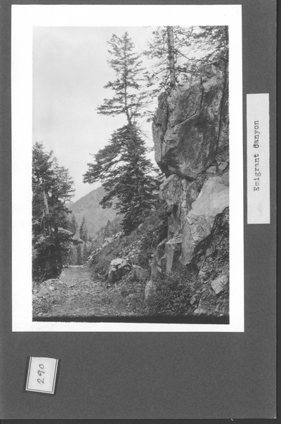 Emigrant Canyon Mountain Trail
