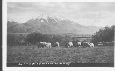 Emigrant Peak, 10,598 ft., Livingston, Montana
