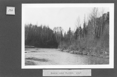 Trees on River, Scene Near Eureka, 1912