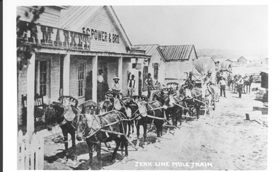 Jerk Line Mule Train at Fort Benton