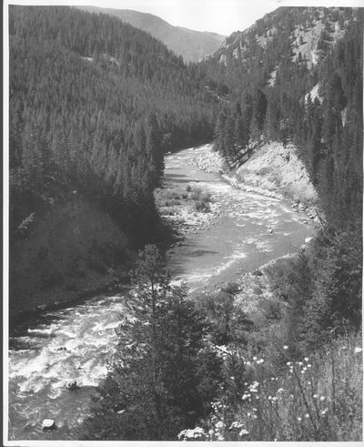 Gallatin River
