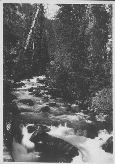 Grand Teton National Park